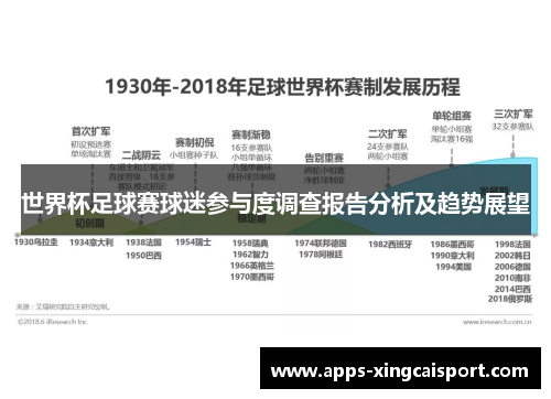 世界杯足球赛球迷参与度调查报告分析及趋势展望