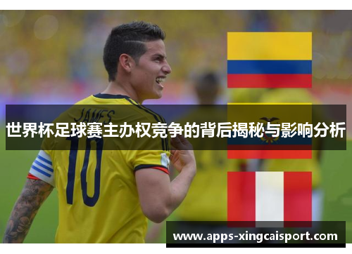 世界杯足球赛主办权竞争的背后揭秘与影响分析