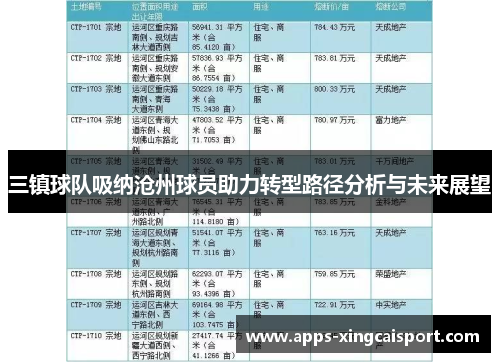 三镇球队吸纳沧州球员助力转型路径分析与未来展望