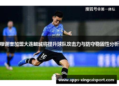 穆谢奎加盟大连鲲城将提升球队攻击力与防守稳固性分析