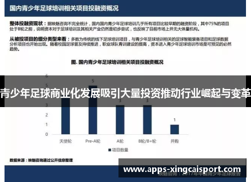 青少年足球商业化发展吸引大量投资推动行业崛起与变革