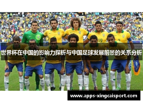 世界杯在中国的影响力探析与中国足球发展前景的关系分析