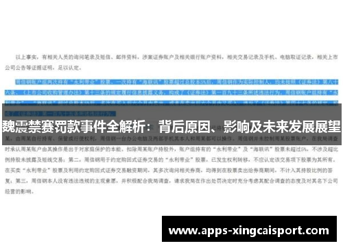 魏震禁赛罚款事件全解析：背后原因、影响及未来发展展望